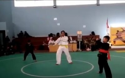 pencak silat 2
